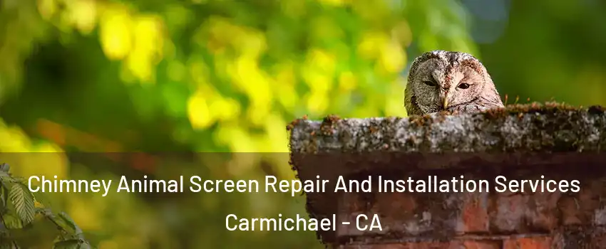  Chimney Animal Screen Repair And Installation Services Carmichael - CA
