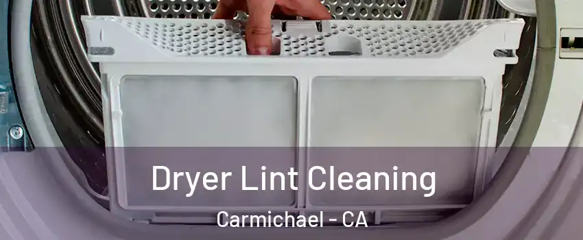  Dryer Lint Cleaning Carmichael - CA