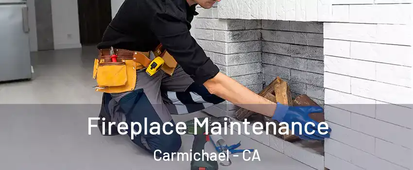  Fireplace Maintenance Carmichael - CA