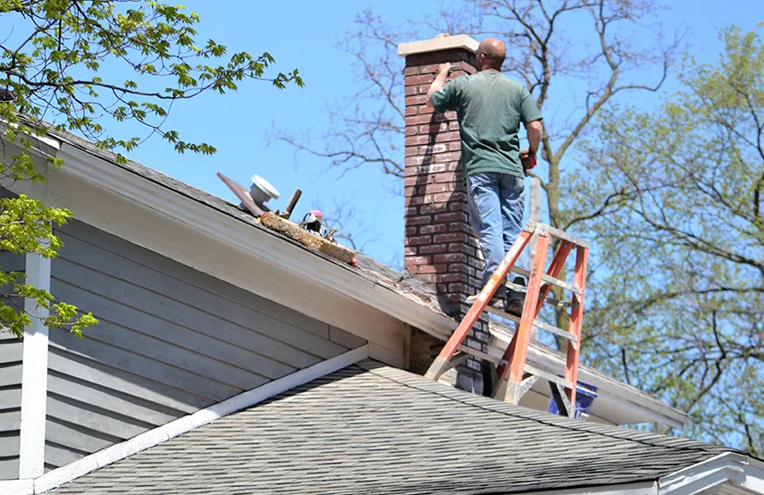Chimney & Fireplace Inspections Services in Carmichael, CA