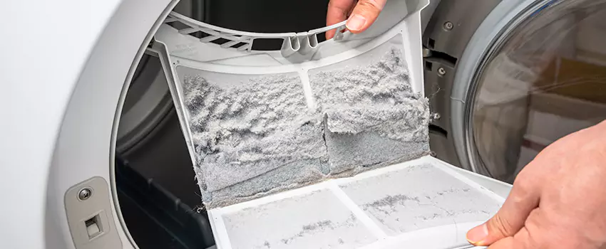 Best Dryer Lint Removal Company in Carmichael, California