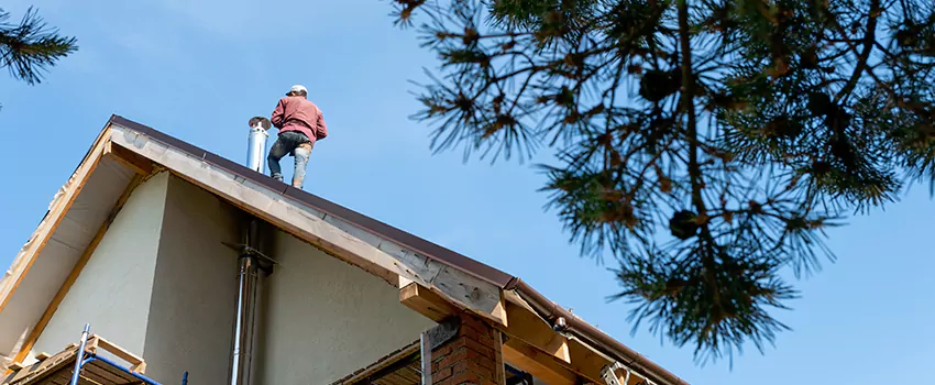 Birds Removal Contractors from Chimney in Carmichael, CA