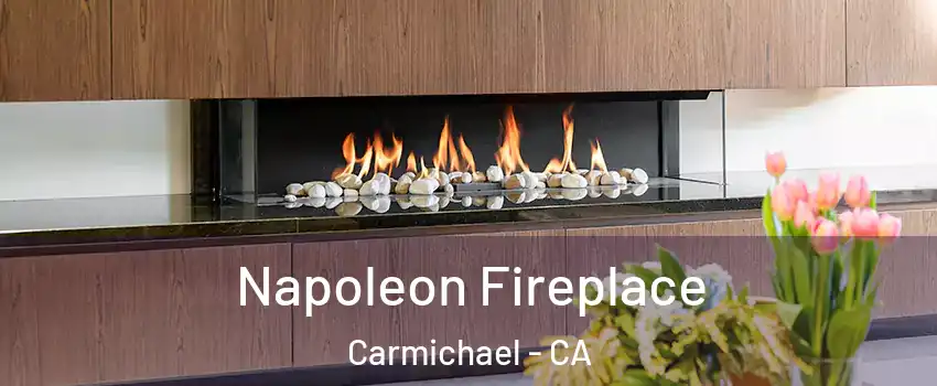  Napoleon Fireplace Carmichael - CA